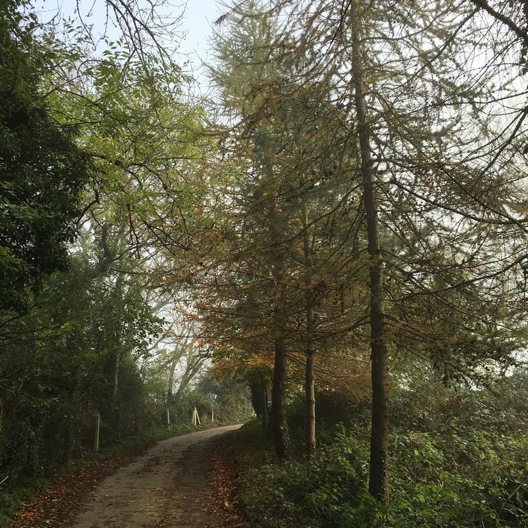 Pathways, Beachwood Cottage باث المظهر الخارجي الصورة